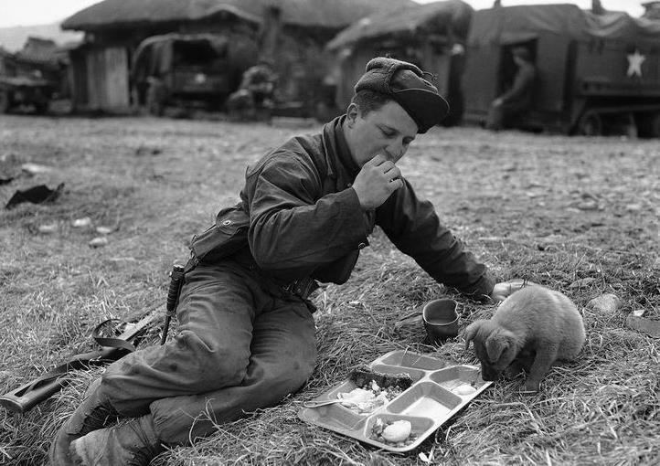 二战老照片:战争的残酷是暂时的,人性的温暖才是永恒的