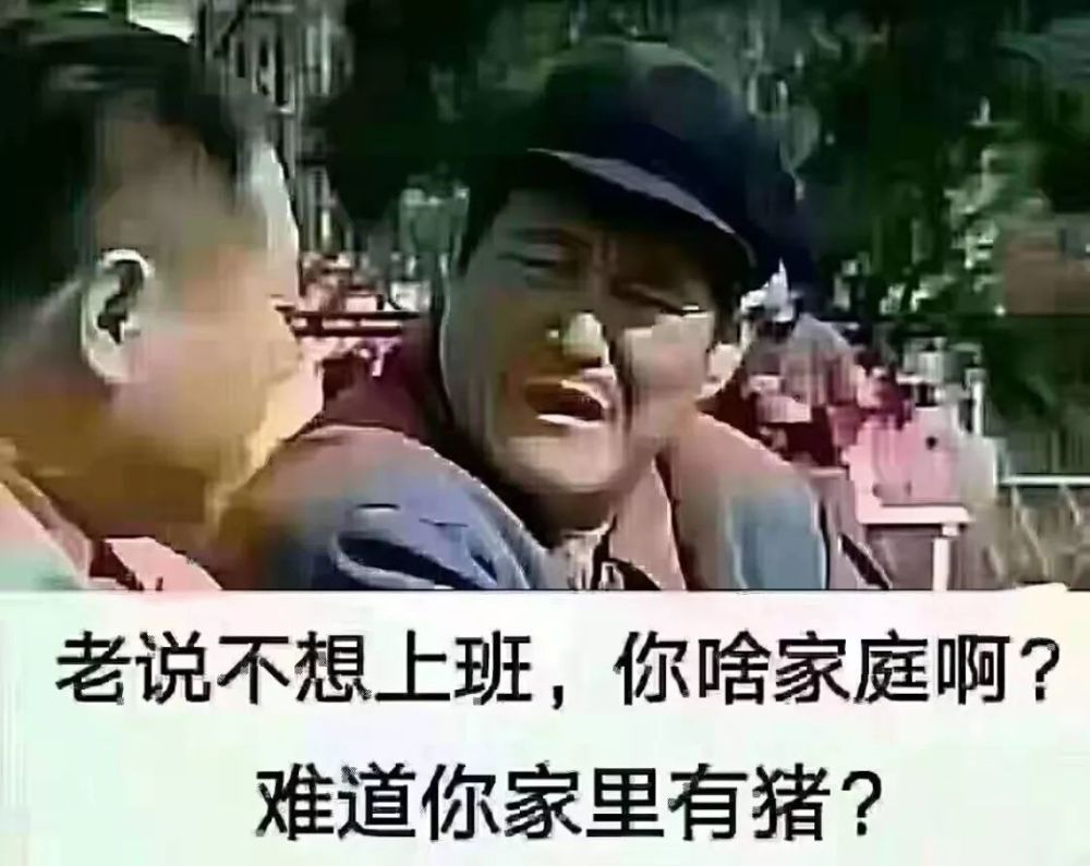 依依不舍地告别周末 今天周一也要好好努力"搬砖"