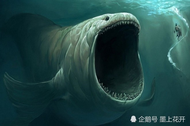 北海巨妖克拉肯,蓝鲸,怪兽,海洋生物,史前巨兽