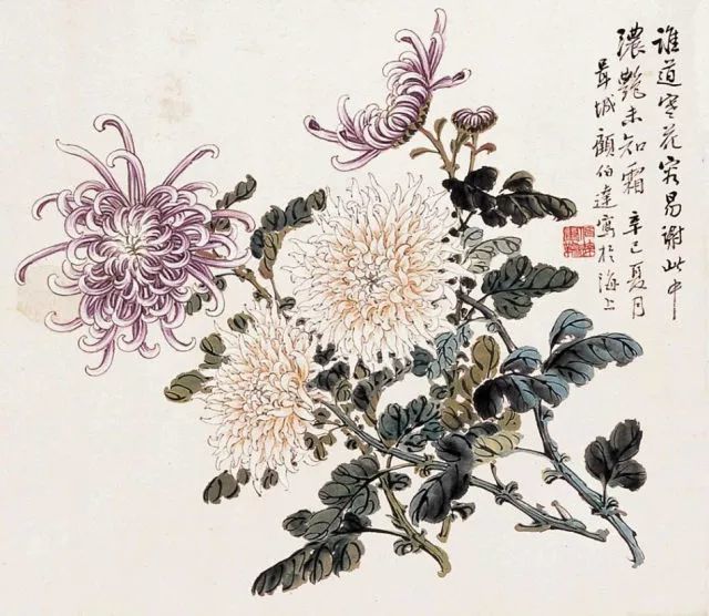 大师爱菊, 爱的是菊花那种 不同流合污,傲世独立的气节, 所以苏东坡