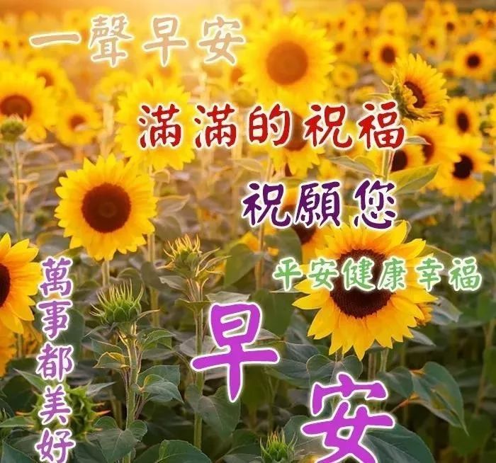 周二朋友圈温暖人的早上好祝福语图片 早晨很受用的问候动态表情图片