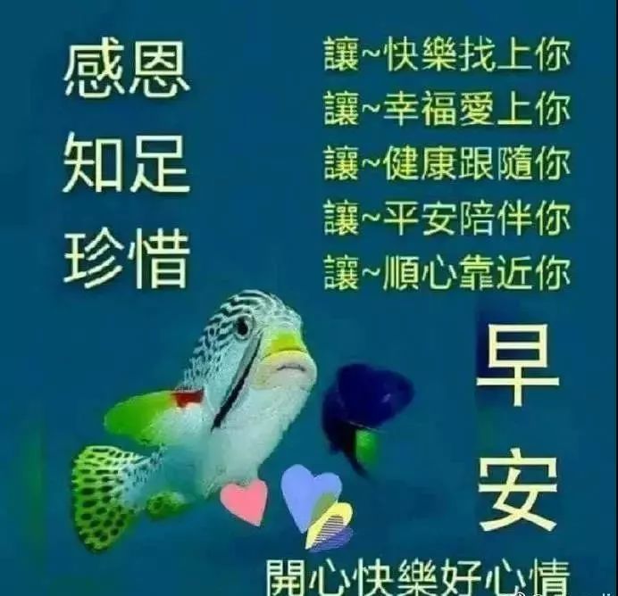 周二朋友圈温暖人的早上好祝福语图片 早晨很受用的问候动态表情图片