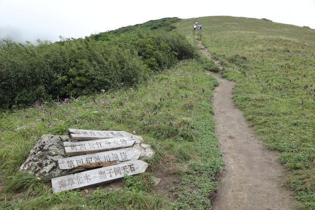 秦楚古道,终南山,古道,柞水县,营盘镇