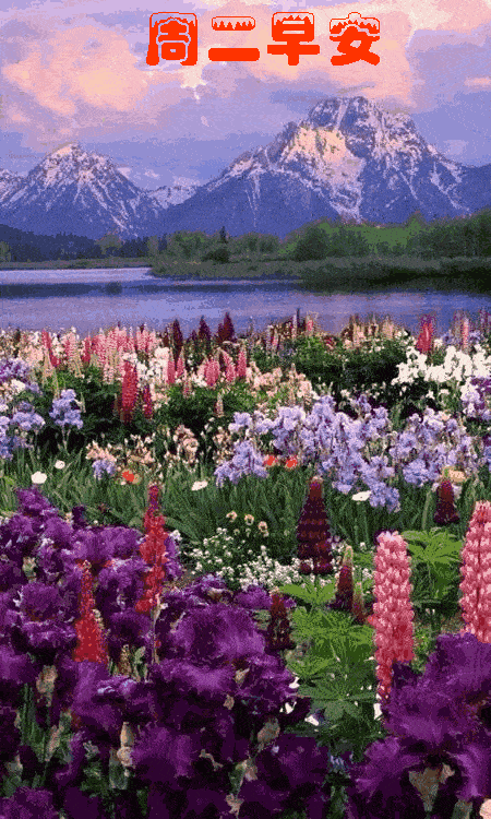 2019漂亮的周二早上好图片带字 早安心语正能量语录