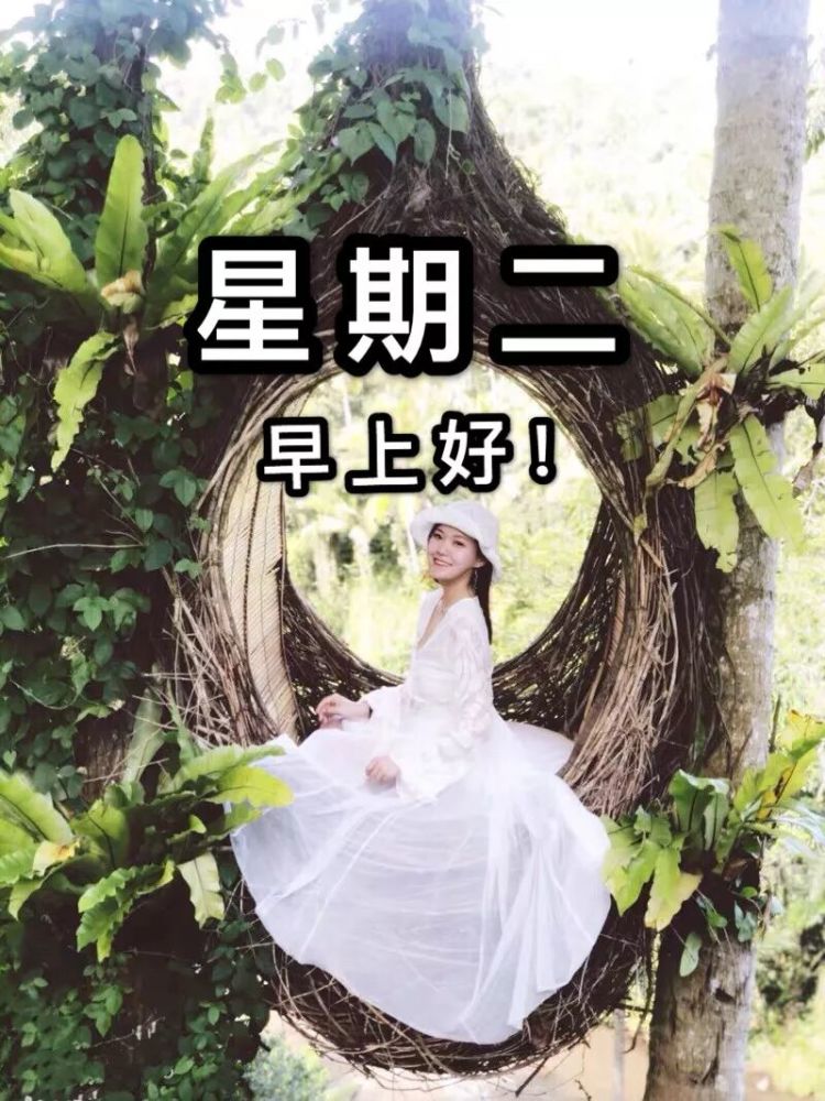 2019漂亮的周二早上好图片带字 早安心语正能量语录