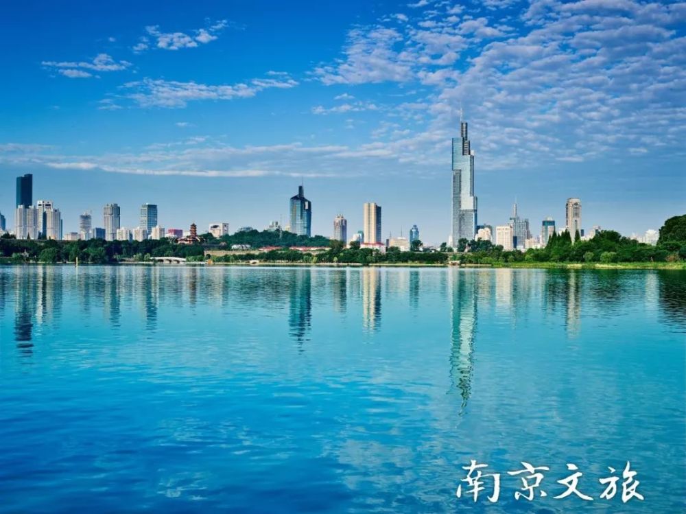 金秋时节,"漂亮50"勾勒南京最美风景线