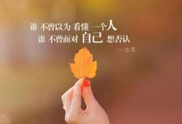 心情不好的句子,个性签名伤感:百无一用是深情,不屑一