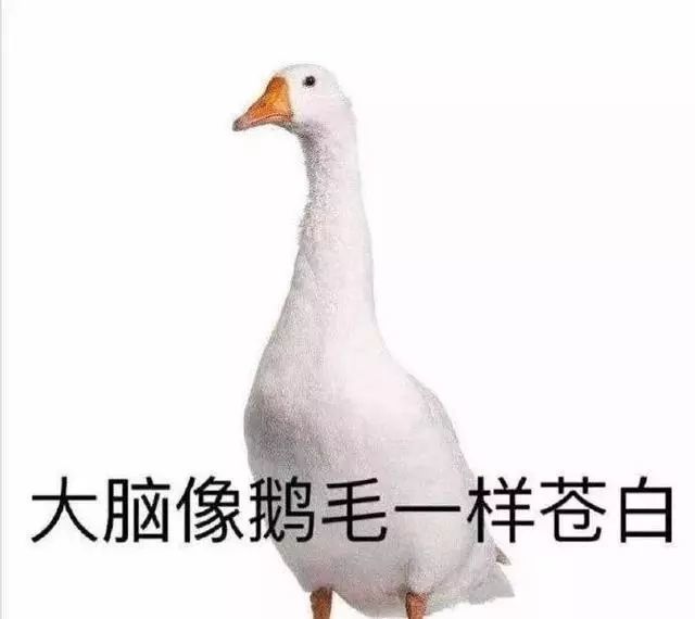 什么人呐,这是