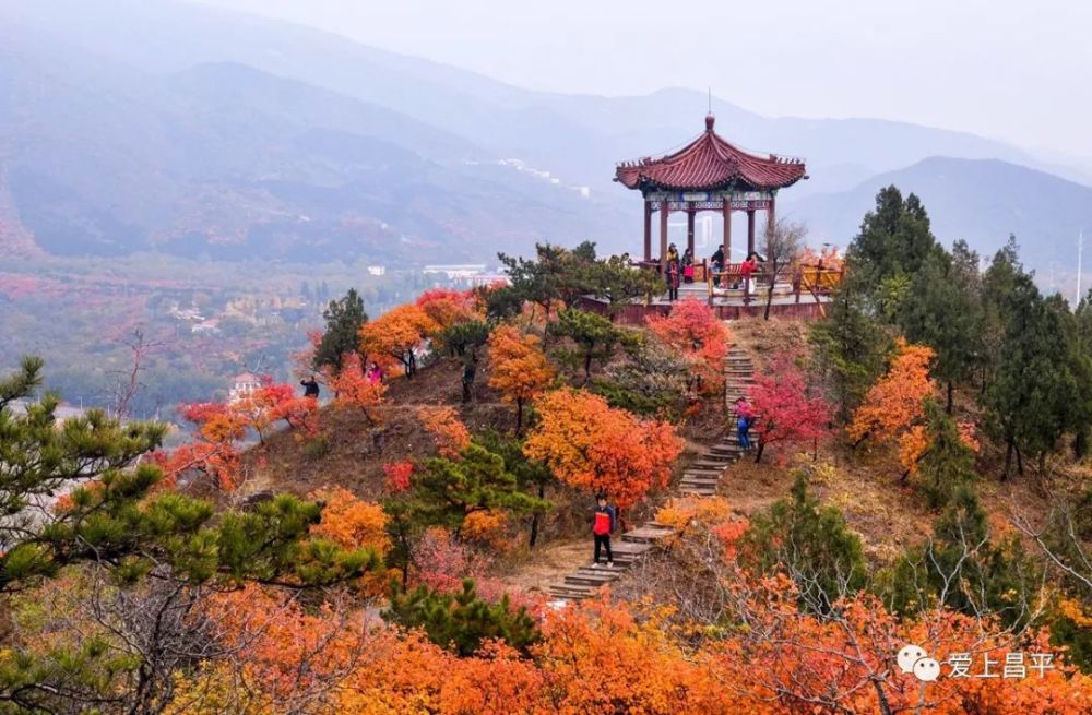 京郊昌平这3个红叶景点,人少叶更红,太震撼了!