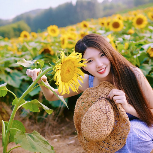 向日葵地里可爱美女,长相俊俏户外迷人图集