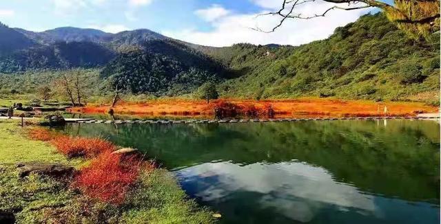 乐山峨边的黑竹沟 迎来颜值巅峰 分分钟带你穿越童话世界~ 云雾下的