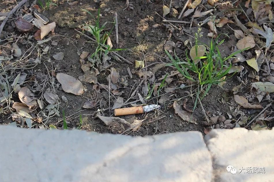 1小时245个烟头,我们用武威街头的这堆垃圾来证明它的
