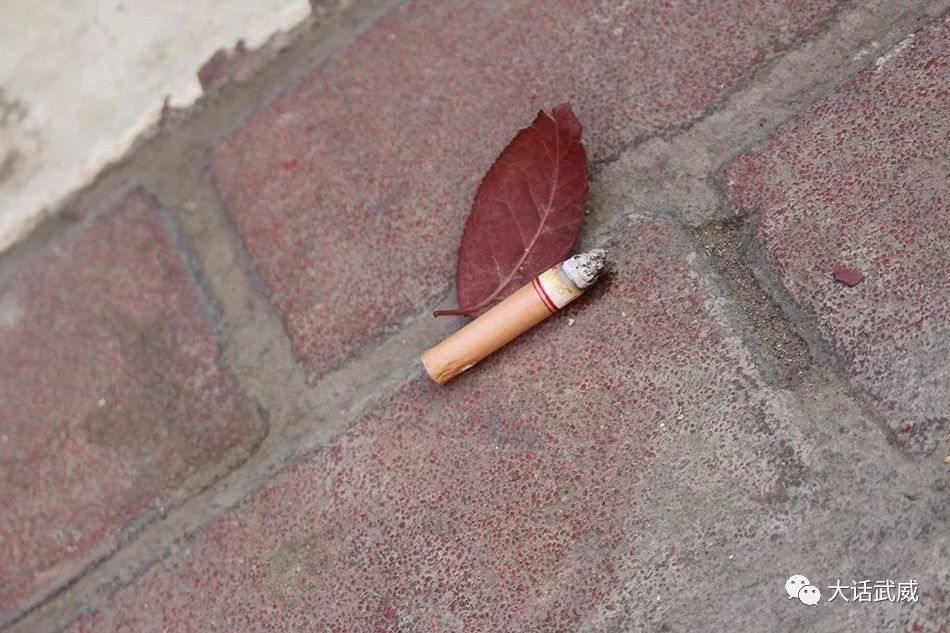 烟头很多,散落在石头缝隙里,花栏里,草坪里,马路边,还有从车窗里弹