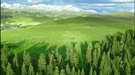 壁纸 成片种植 风景 植物 种植基地 桌面 560_314 gif 动态图 动图