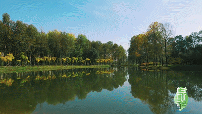 相约西宁的公园,感受大自然与艺术的完美融合!