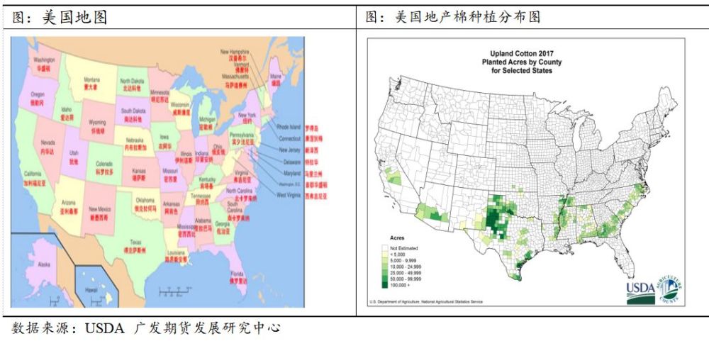 全球棉花格局:你该关注哪些国家