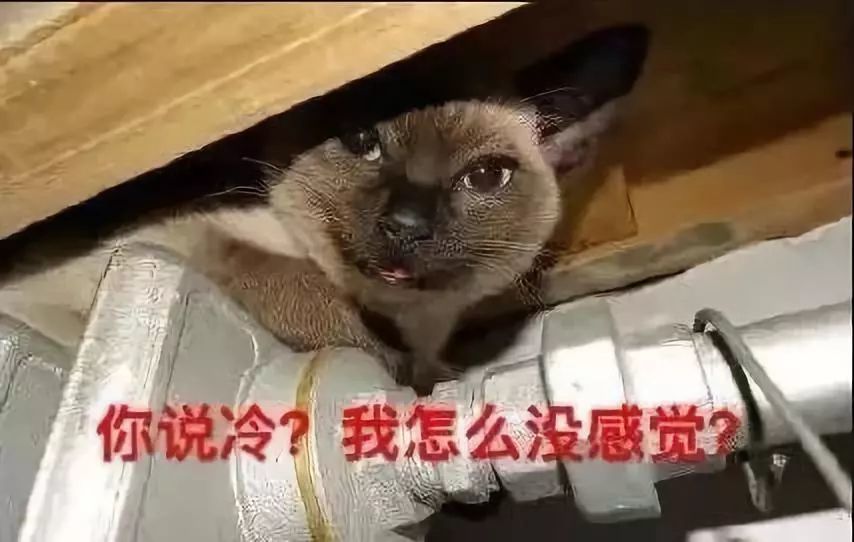 表示无比痛心和惋惜