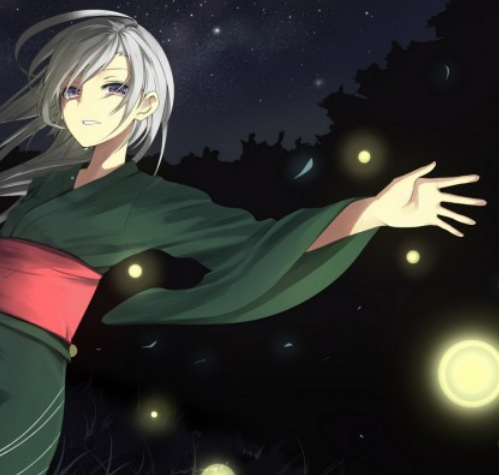 《二次元萤火虫之夏》动漫壁纸,趣味十足可爱唯美