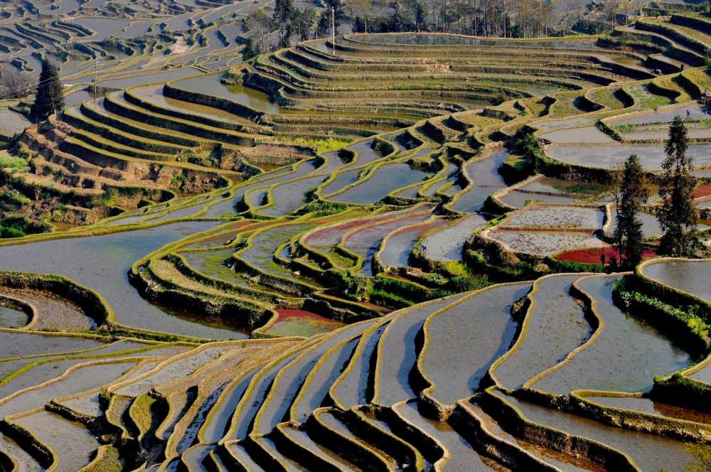 农村,梯田,壮美景观,景色,旅游