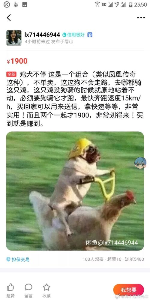 表情包里的狗能卖就算了 这个椰子鞋是怎么回事?