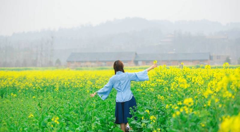 油菜花里麻花辫俏皮民国风少