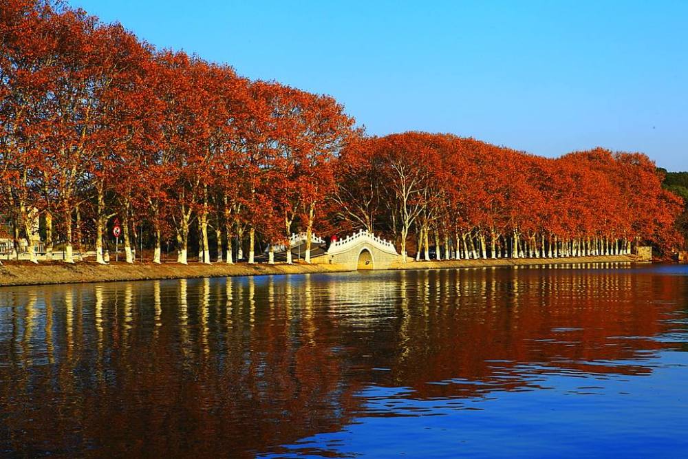 武汉最美的深秋风景,原来藏在武汉东湖