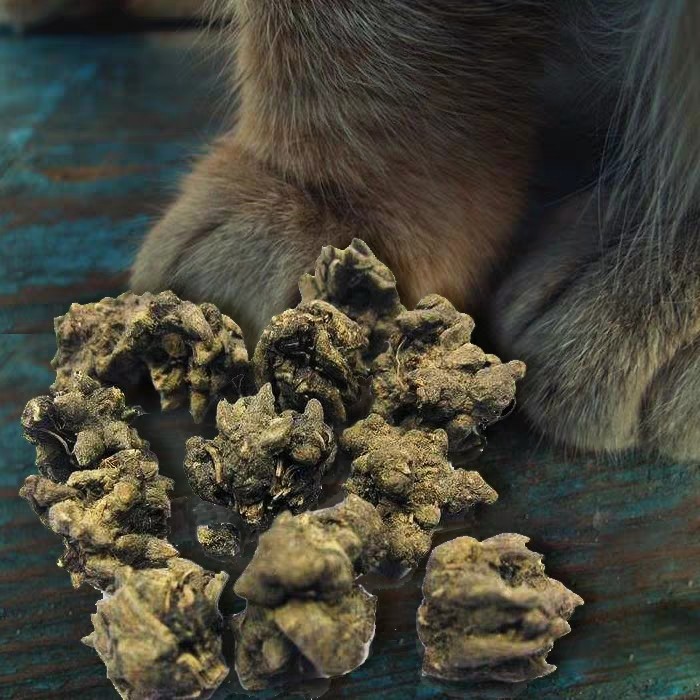 每日学习一味中草药 猫爪草 看点快报