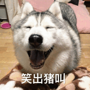 河北理工大学怎么样,华北理工大学专科怎么样