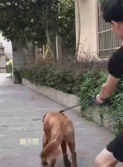 搞笑gif趣图女神萌萌人人爱生完孩子变刺猬