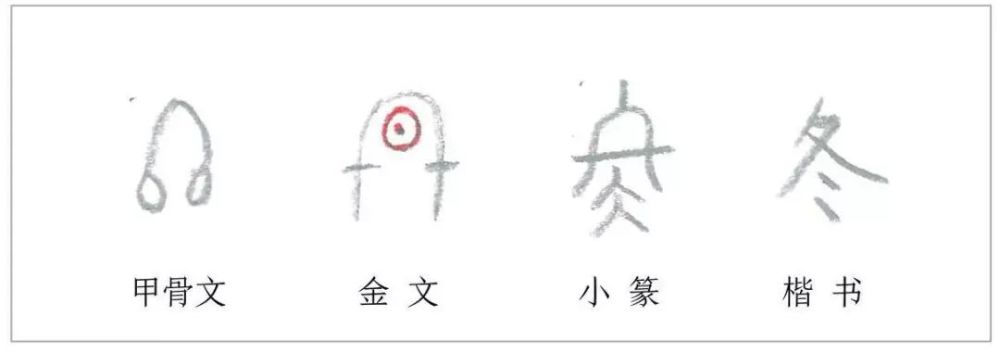 冬,终也 立 冬 汉字的演变是极具画面感的,譬如说"立冬"里的"冬"字.