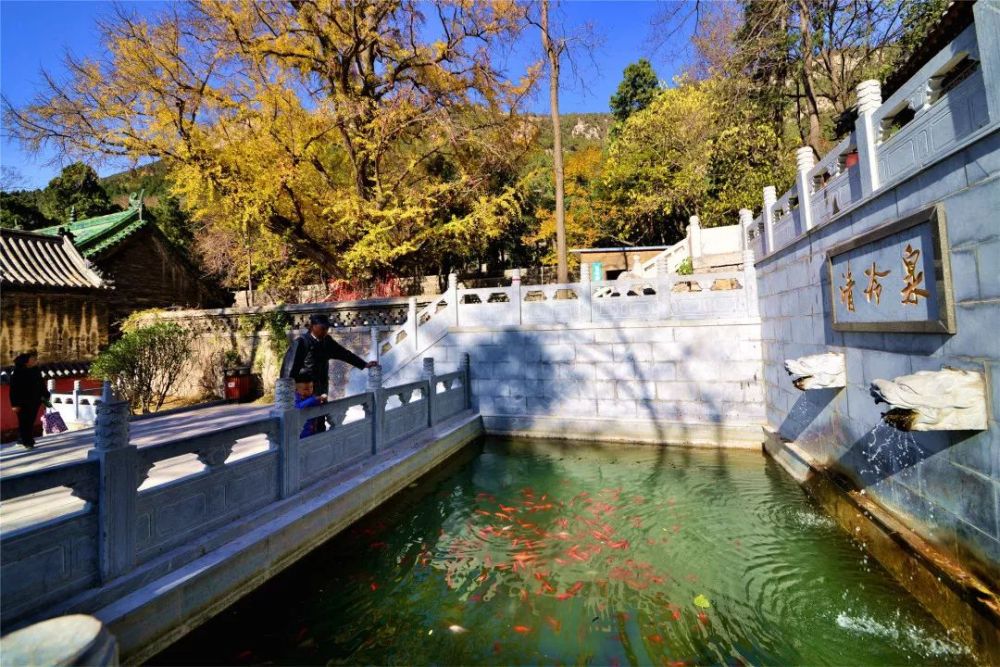 自驾路线:从济南市区出发,由济微路-104国道一直往南至万德义灵路