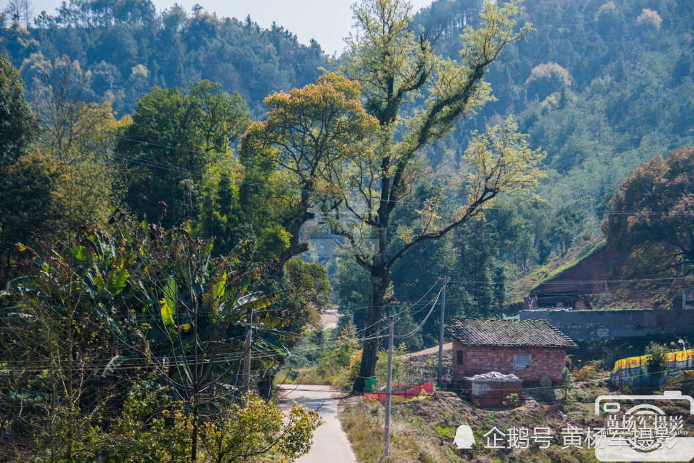 我爱农村家乡的风景,它带给了我快乐,也给我的脑海里留下了一道美好的