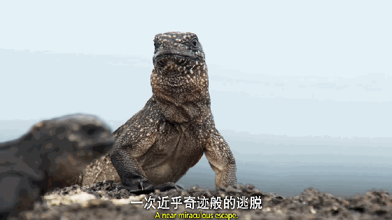 摄影师总能把自然运转拍成