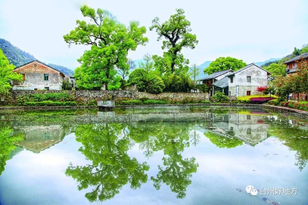 台州新时代美丽乡村建设掠影,美,美,美!