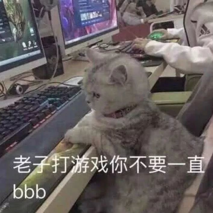 生活不易 靓仔叹气