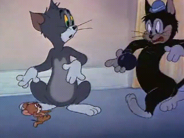 水火不容的冤家,猫鼠的欢乐日常,高兴度过每一天!