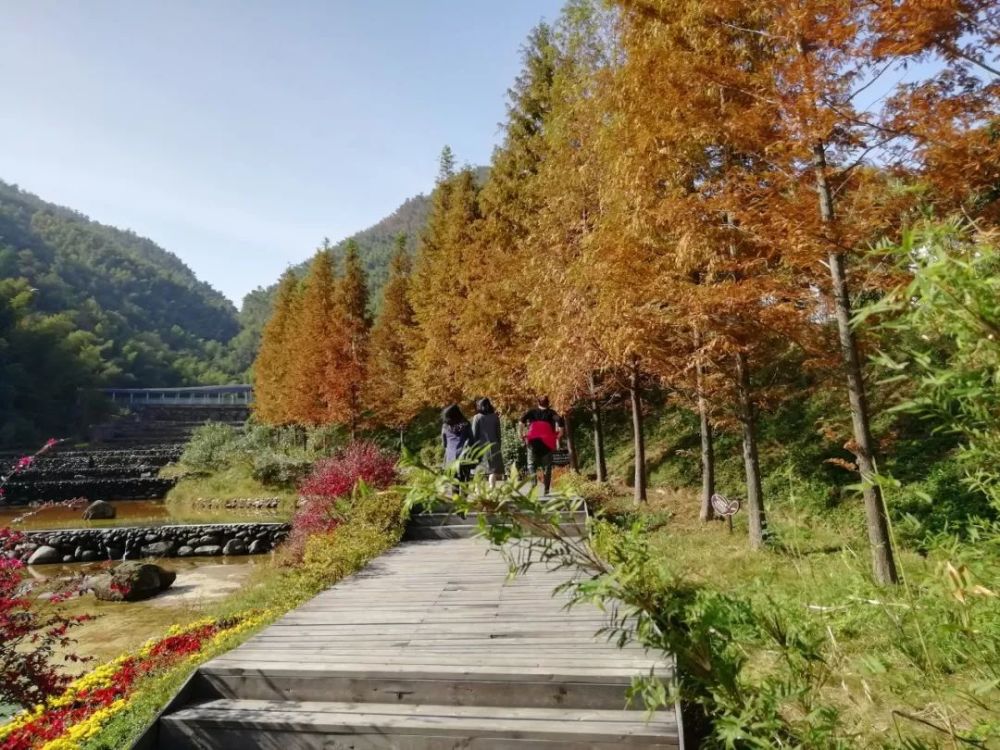 梅岭太阳谷赏枫是一道风景 在梅岭景区 还有很多瑰丽的景点 等着您来