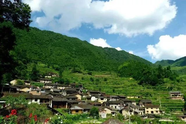 美丽龙泉|去龙泉市这两个"会呼吸"的古村感受绵绵秋意