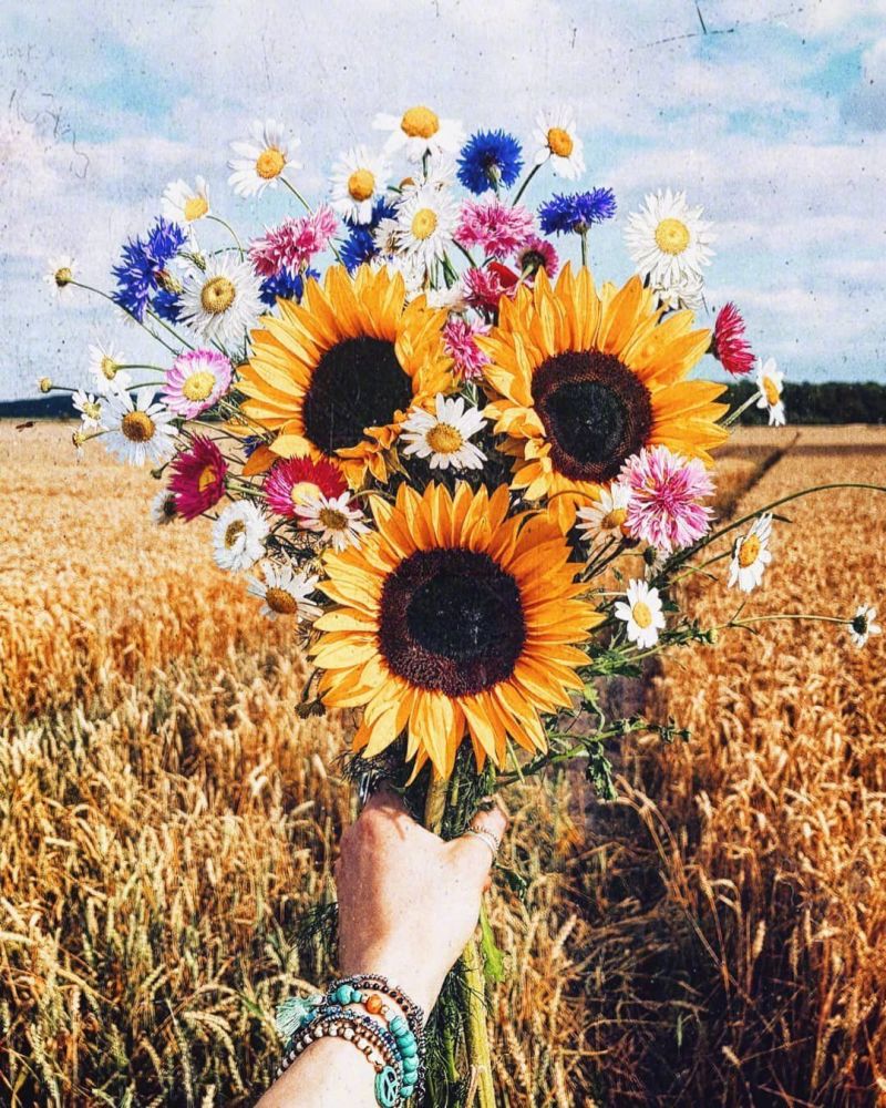 美图:手持鲜花