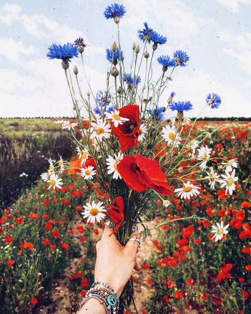 美图:手持鲜花