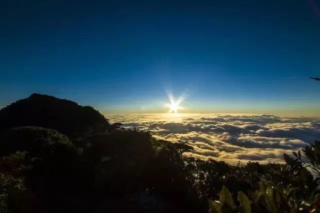 五指山市,亚马逊热带雨林,海南,海南岛,五指山热带雨林,蜈支洲岛