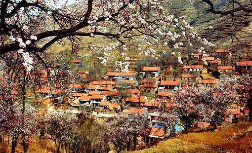 杏花村:国家4a级风景区