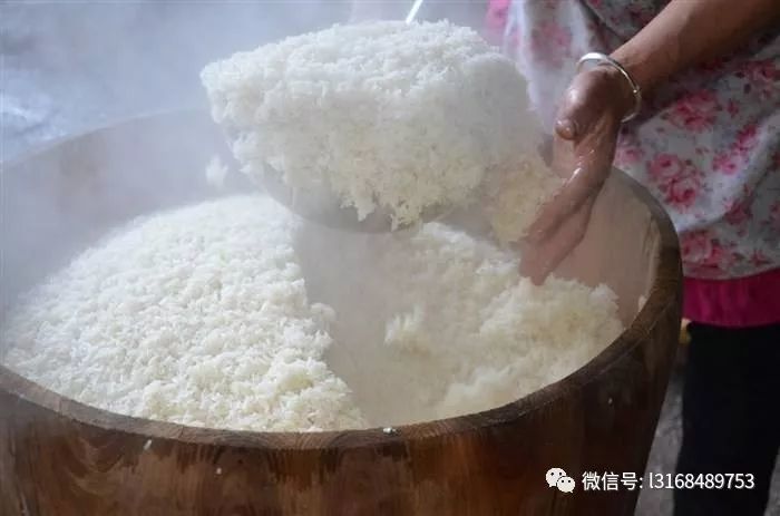 双曲发酵酿酒-用大米一样可以做出酱香型白酒