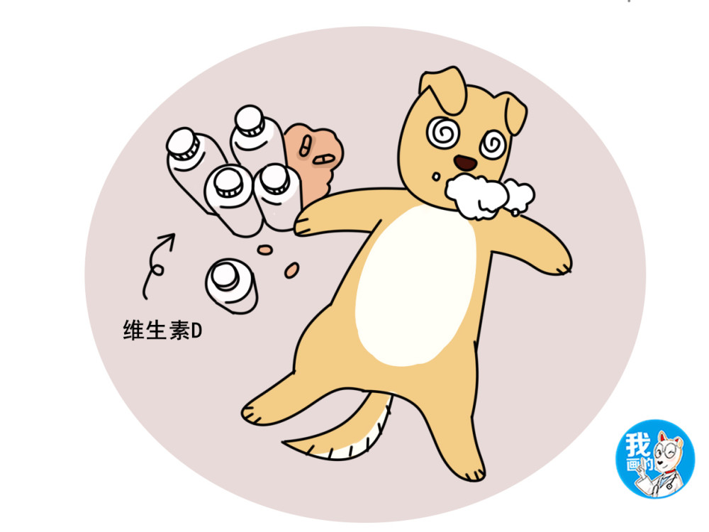 狗狗,兽医,汪星人,萌宠,科学养宠