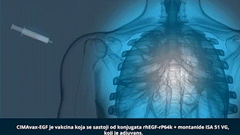 正常细胞可以通过其他途径获得生长的养料,而依赖表皮生长因子的肺癌