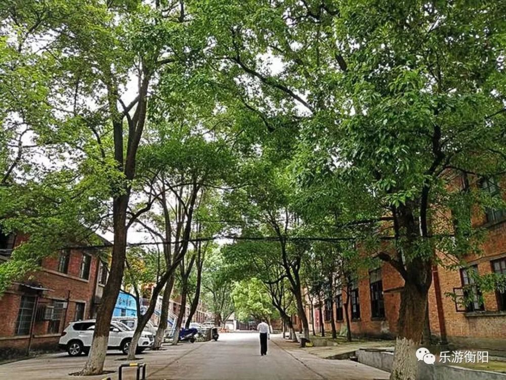 在衡阳取景的电视剧开播了,一秒带你穿越回奔腾年代!