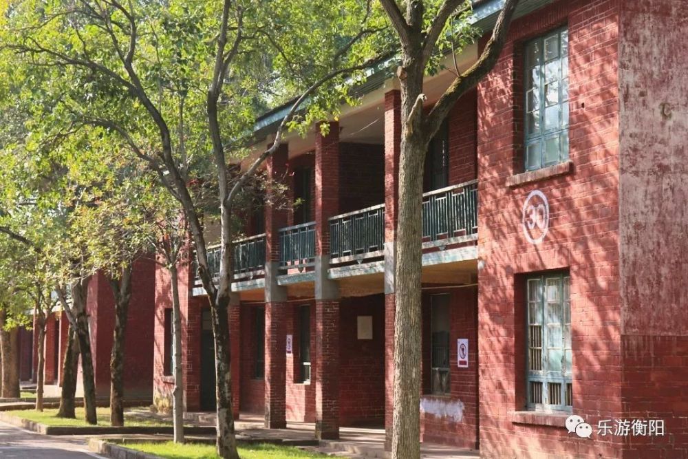 在衡阳取景的电视剧开播了,一秒带你穿越回奔腾年代!