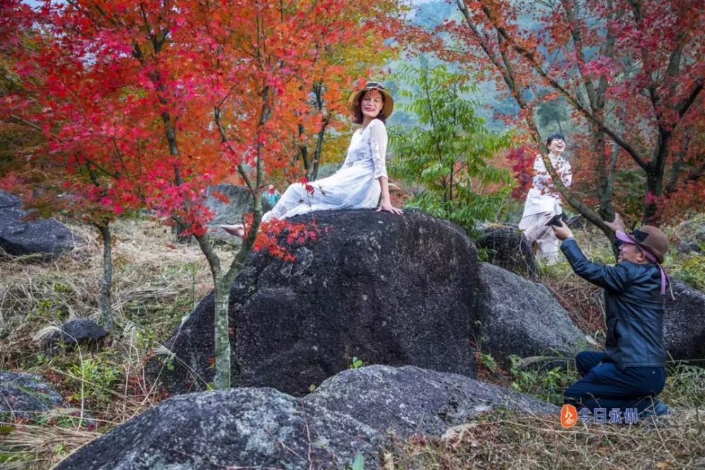 11月5日至7日,蓝山县湘江大峡谷枫叶景观和游客拍照的场景 秋末冬初