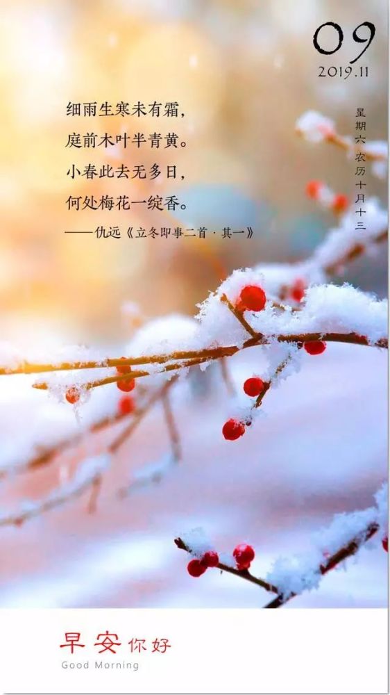 11月9日早安日签图片带文字 周末早上好励志正能量加字图片