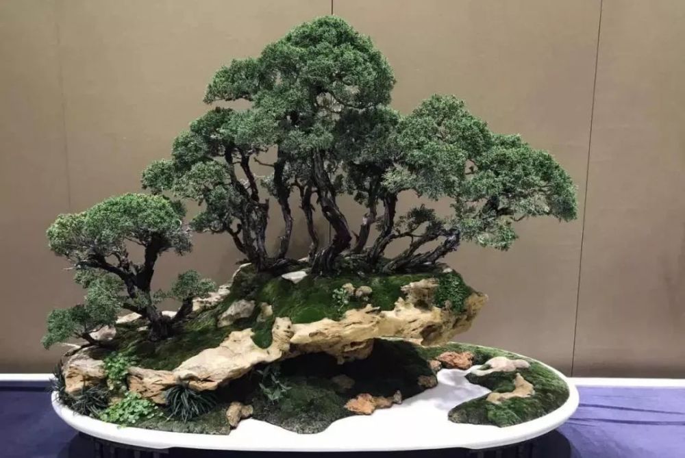 中国盆景大师作品